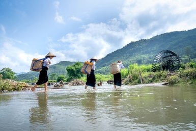 Drei Frauen tragen große Körbe mit Ernte durch flaches Wasser, umgeben von grünen Hügeln und einem alten Wasserrad.