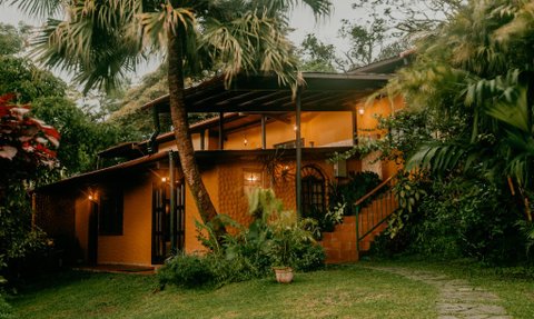 Ein charmantes, gelbes Haus umgeben von üppigem Grün und Palmen, das eine einladende Atmosphäre ausstrahlt.