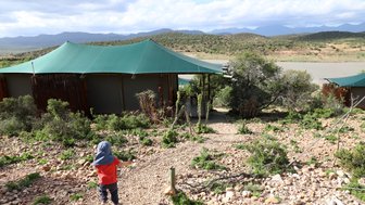 Fröhliches Kind läuft auf ein Safarizelt in der Buffelsdrift Game Lodge zu – Garden Route Reise mit Kindern
