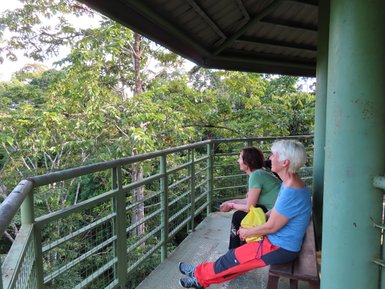 Frauen sitzen auf einer Bank und genießen den Blick auf die Natur im Sepilok Rainforest Discovery Centre – Malaysia & Borneo Reise mit Kindern