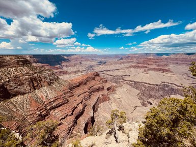 Der Blick auf den Grand Canyon zeigt beeindruckende, schichtartige Felsformationen unter einem strahlend blauen Himmel.