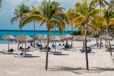 Ein sonniger Strand mit Palmen und Liegen, wo Menschen entspannt unter Strohdächern liegen und die Aussicht genießen.