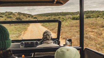 Familie im Jeep bei einer Safari im Addo - Südafrika mit Kindern