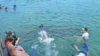 Eine Gruppe von Schnorchlern genießt das klare Wasser, während einige im Hintergrund schwimmen und andere am Rand sitzen.