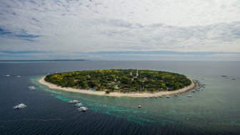 Eine Luftaufnahme von Balicasag Island zeigt eine üppige grüne Landschaft umgeben von klarem, blauem Wasser und Booten.