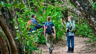 Drei Wanderer im Cahuita Nationalpark, umgeben von üppigem Grün, erforschen zusammen die malerische Natur.