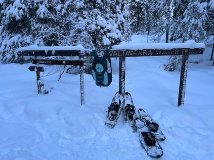 Ein Wegweiser zeigt die Richtung zu den Winterwanderwegen, umgeben von schneebedeckten Bäumen und frischem Schnee.