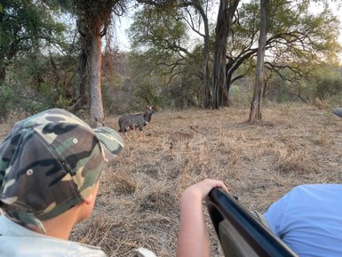 Ein Kind sitzt im offenen Safari-Jeep und beobachtet Antilopen im Makutsi Game Reserve – Südafrika Reise mit Kindern