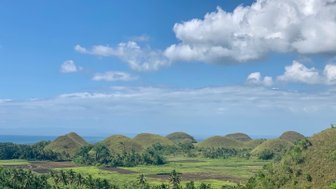 Die sanften Hügel der Chocolate Hills erstrecken sich unter einem strahlend blauen Himmel, umgeben von üppigem Grün.