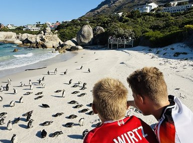 Zwei Jungen beobachten eine Gruppe von Pinguinen am Strand, umgeben von Felsen und einer malerischen Küstenlandschaft.