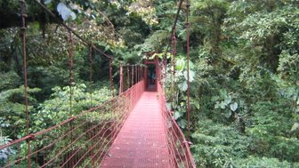 Hängebrücke führt durch den mystischen Nebelwald von Monteverde – Costa Rica Familienreise