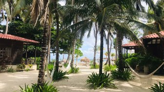 Ein ruhiger Strandbereich mit Palmen, Hängematten und einem Blick auf das Meer, ideal für Entspannung und Erholung.
