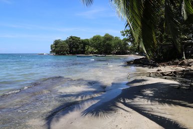 Tropischer Strand mit Palmen und türkisfarbenem Wasser bei Puerto Viejo – Costa Rica Familienreise