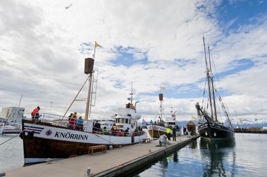 Am Hafen von Húsavík sind mehrere Boote vertäut, während sich Menschen auf dem Steg versammeln und die Aussicht genießen.