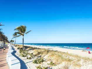 Ein sonniger Strand in Fort Lauderdale mit Palmen, einem klaren blauen Himmel und Menschen, die sich am Wasser entspannen.