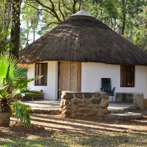 Ein charmantes Bungalow mit einem Strohdach, umgeben von üppigem Grün und einem kleinen Steinweg im Vordergrund.