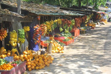 Farbenfroher Marktstand mit Früchten auf dem Basar in Kandy – Sri Lanka Familienreise