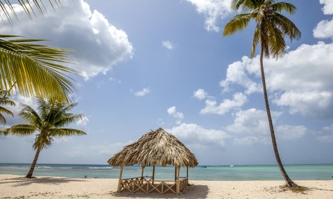 Ein malerischer Strand in Tobago mit einem strohgedeckten Pavillon und Palmen, die sanft im Wind wiegen.