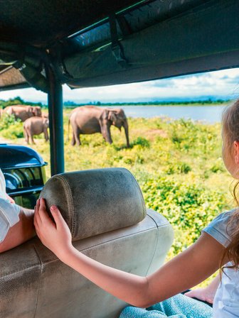 Eine Familie fährt im offenen Jeep durch den Udawalawe Nationalpark auf der Suche nach wilden Tieren – Sri Lanka mit Kindern