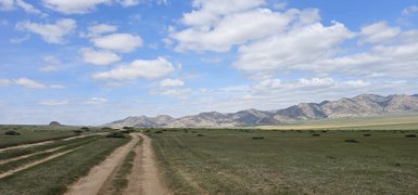 Eine weite, grüne Landschaft mit sanften Hügeln und einem klaren blauen Himmel, durchzogen von einem staubigen Weg.