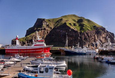 Im Hafen liegen mehrere Boote, während im Hintergrund eine grüne Klippe unter blauem Himmel sichtbar ist.