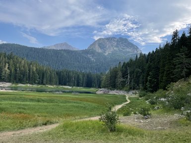 Vor majestätischen Bergen erstreckt sich ein ruhiger See, umgeben von dichten Nadelwäldern und üppigem, grünem Gras.