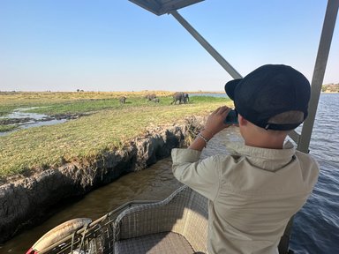 Ein Junge fotografiert Elefanten, die am Ufer des Chobe-Flusses grasen, während er auf einem Boot sitzt.