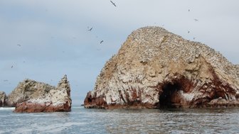 Die beeindruckenden Felsen der Ballestas-Inseln ragen majestätisch aus dem ruhigen Wasser, umgeben von schwirrenden Vögeln.