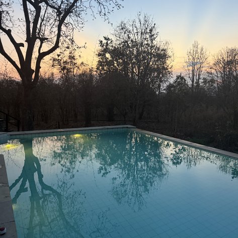 Der glitzernde Pool spiegelt den klaren Abendhimmel und die silhouettierenden Bäume im sanften Licht der Dämmerung wider.