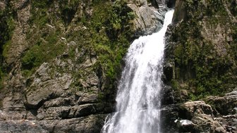 Ein beeindruckender Wasserfall stürzt über eine felsige Klippe in einen klaren, grünen Pool, umgeben von üppigem Dschungel.