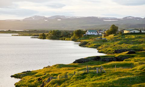 Eine ruhige Landschaft am Myvatn-See, umgeben von sanften Hügeln und grünen Wiesen, unter einem bewölkten Himmel.