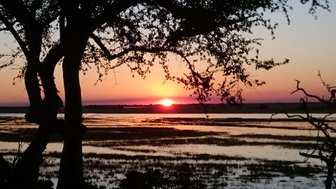 Ein atemberaubender Sonnenuntergang über dem Chobefluss, umrahmt von silhouettenhaften Bäumen und sanften Wasserflächen.