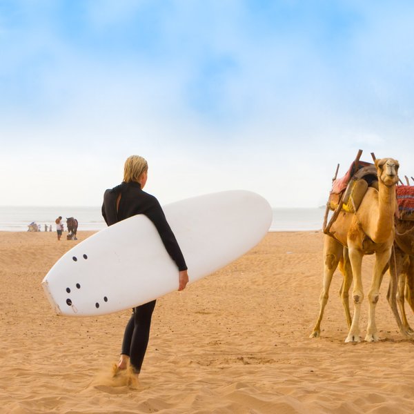 Ein Surfer in einem schwarzen Anzug trägt ein Surfbrett und geht an Kamelen vorbei, die am Strand stehen.