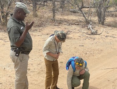 Kinder berühren gemeinsam mit einem Guide den Sand und entdecken Tierspuren im Kruger Nationalpark – Südafrika Reise mit Kindern