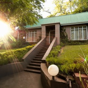 Ein charmantes Haus mit grünem Dach, umgeben von üppigem Grün und Sonnenstrahlen, die durch die Bäume scheinen.