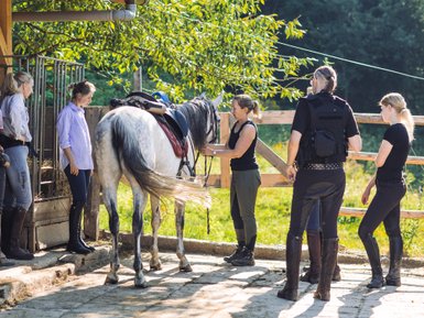 Eine Gruppe von Reitern bereitet ein graues Pferd auf einen Ausritt vor, während sie in der warmen Sonne stehen.