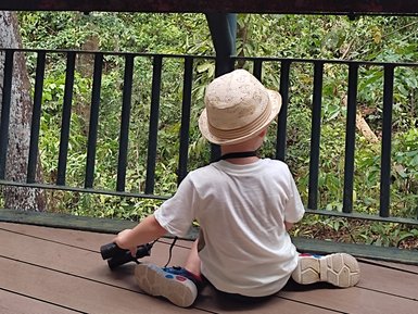 Kleinkind sitzt mit Fernglas neugierig im Sepilok Orang Utan Center – Malaysia & Borneo Familienreise
