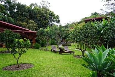 Costa Rica Familienreise mit Kindern - Monteverde - Arco Iris Lodge
