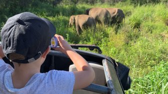 Kind fotografiert Elefanten während einer Safari im Minneriya Nationalpark – Sri Lanka Familienreise