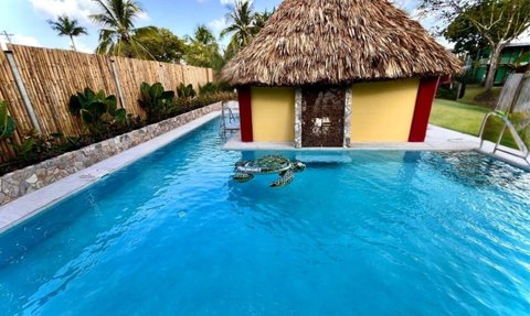 Ein einladender Pool mit klarem Wasser, umgeben von tropischen Pflanzen und einer charmanten Strohhütte im Hintergrund.