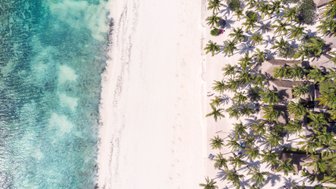 Ein atemberaubender Blick auf den weißen Sandstrand, umgeben von üppigen Palmen und klarem, türkisfarbenem Wasser.