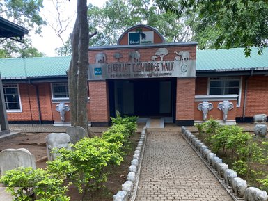 Pfad durch das Gelände des Elephant Transit Home im Udawalawe Nationalpark – Sri Lanka Familienreise