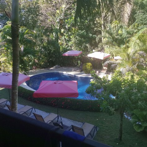 Ein einladender Poolbereich mit pinken Sonnenschirmen und üppiger Vegetation, ideal für Entspannung und Erholung.