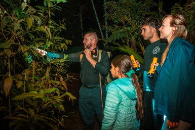 Eine Gruppe von vier Personen erkundet den nächtlichen Dschungel mit Taschenlampen und beobachtet die Pflanzen um sie herum.