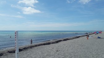 Ein sonniger Strand in Miami mit sanften Wellen, wo Menschen im Wasser schwimmen und am Ufer entspannen.