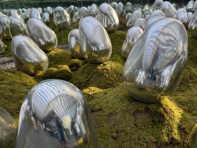 Eine Gruppe von glänzenden, eiförmigen Skulpturen steht auf moosbedecktem Boden in einem modernen Ausstellungsraum.
