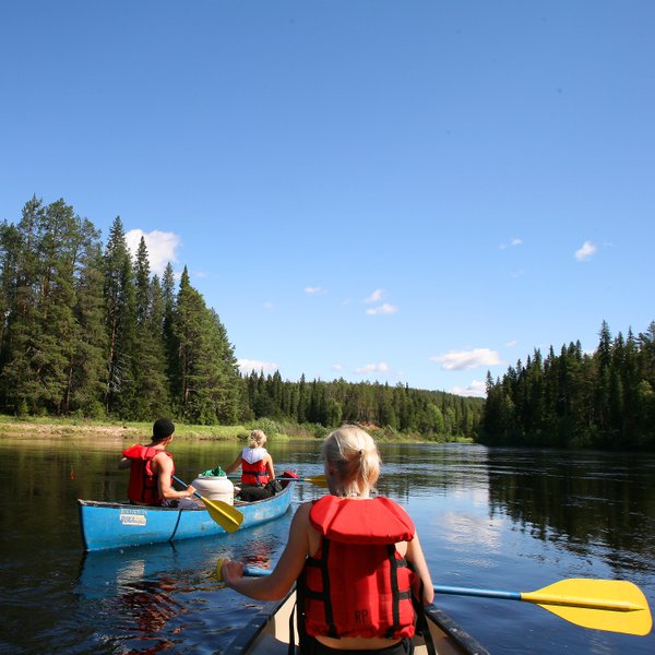 Drei Personen im Kanu paddeln auf einem ruhigen Fluss, umgeben von dichten, grünen Wäldern und klarem blauen Himmel.