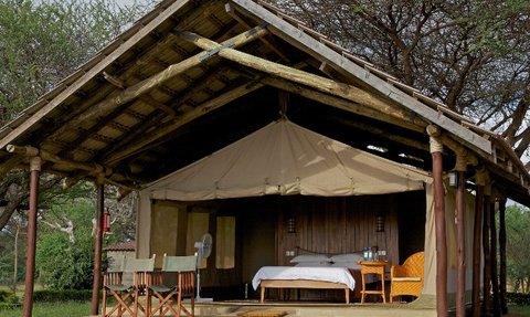 Ein Zelt im Tsavo Ost Nationalpark, umgeben von Bäumen, bietet eine gemütliche Unterkunft mit einem Bett und einem Stuhl.