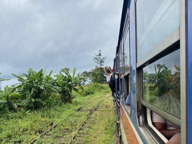 Frau blickt aus dem Fenster eines blauen Zuges während der Fahrt – Sri Lanka mit Kindern