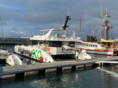 Ein Katamaran mit der Aufschrift 'Magic Dolphin Eco' liegt im Hafen, umgeben von anderen Booten und einem klaren Himmel.